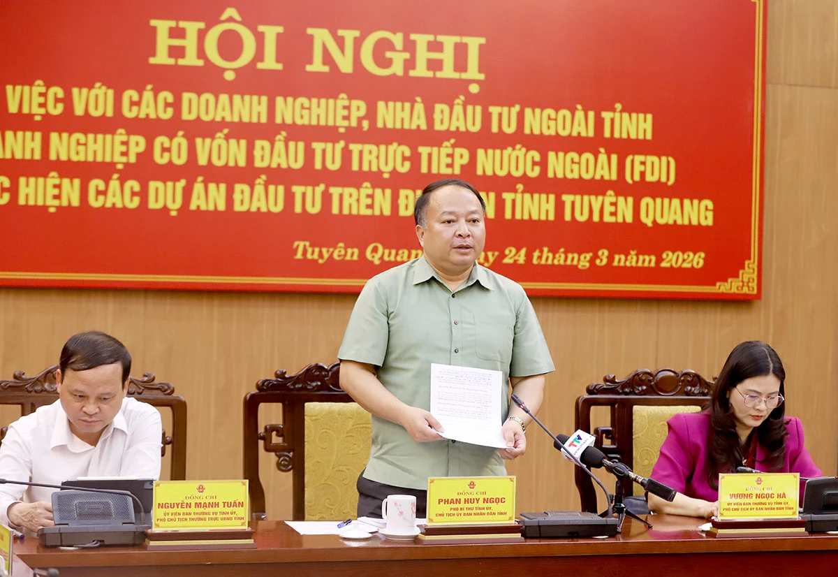 Chủ tịch UBND tỉnh Phan Huy Ngọc phát biểu kết luận buổi làm việc.